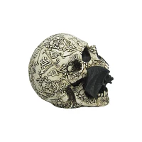 Vampire Bat Skull