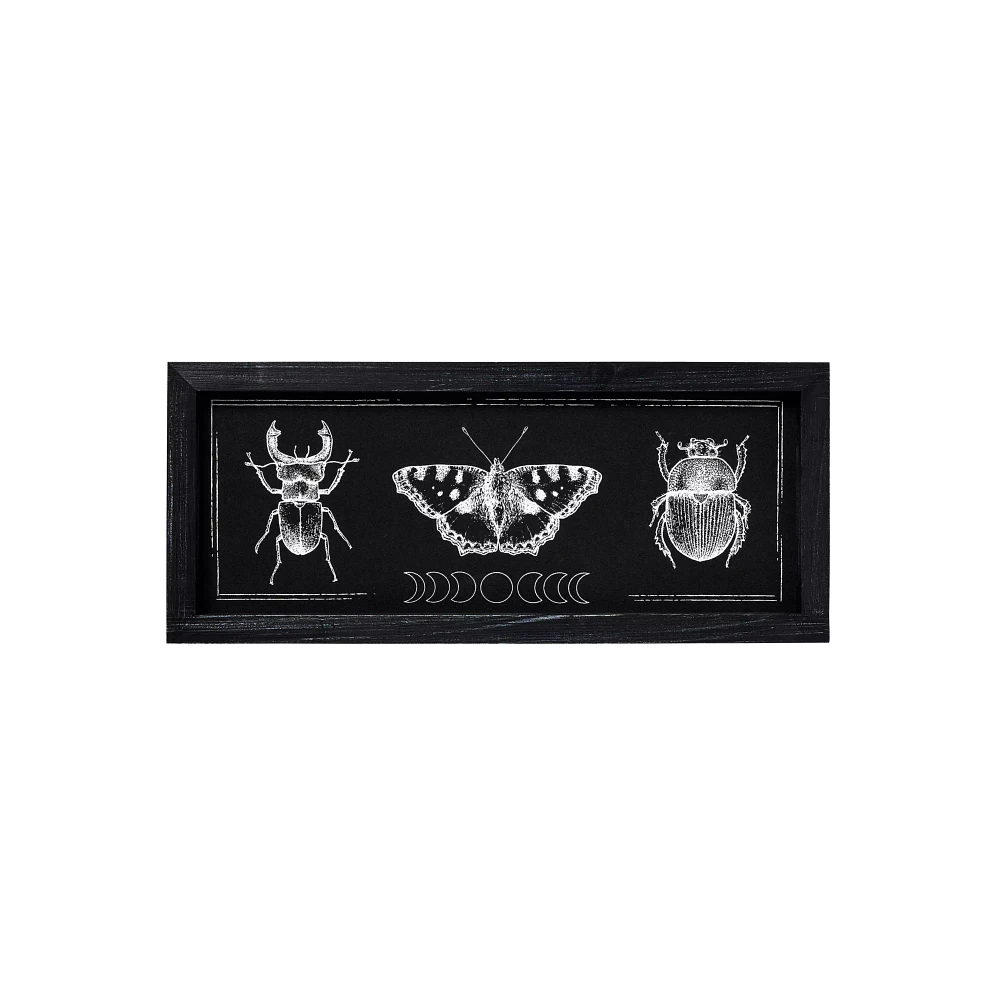 Insect Moon Phase Sign