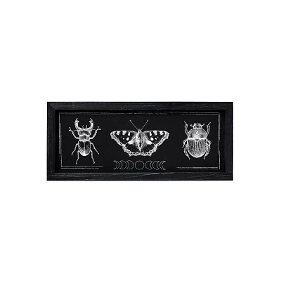 Insect Moon Phase Sign