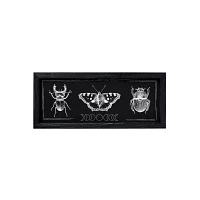Insect Moon Phase Sign