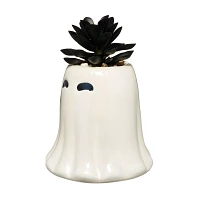 White Ghost Faux Succulent