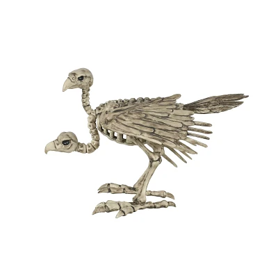 Two-Headed Vulture Skeleton