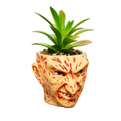Small Freddy Kreuger Succulent Planter - The Nightmare on Elm Street