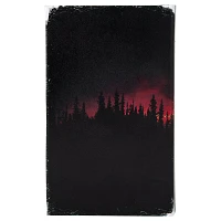 The Cabin Killer Book Box