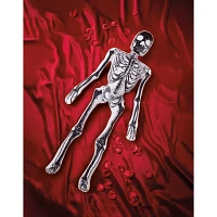 Spector Bones Comfy Curiosity