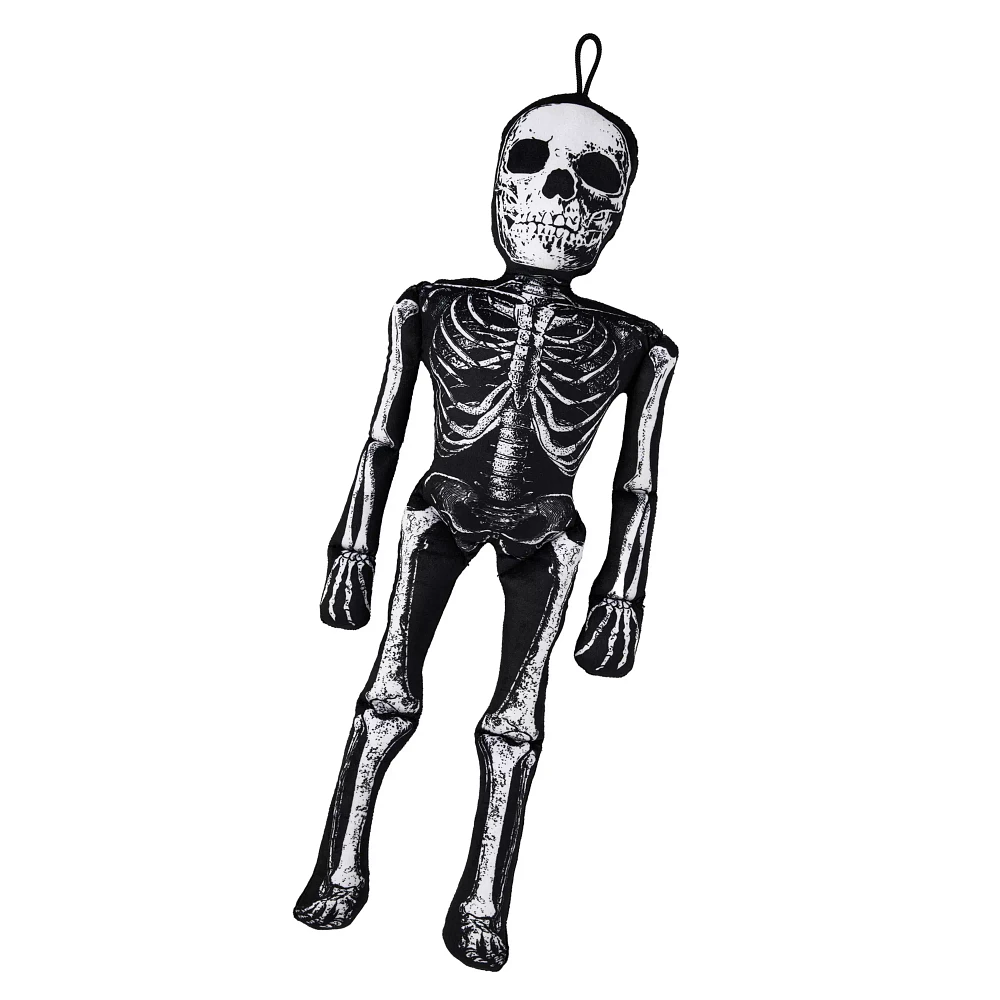 Mortimer Skelly Comfy Curiosity