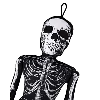 Mortimer Skelly Comfy Curiosity