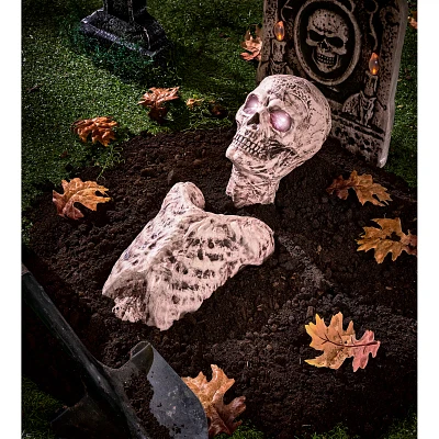 Ground Breaking Skin Torso Skeleton Prop