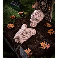 Ground Breaking Skin Torso Skeleton Prop
