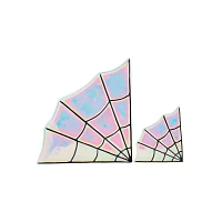 Iridescent Spider Web