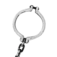 Chain with Shackle