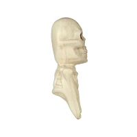 Skeleton Tree Mount Decoration