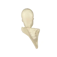 Skeleton Tree Mount Decoration