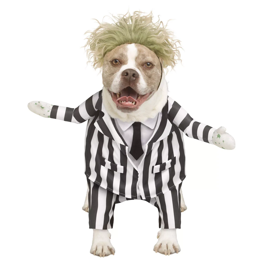 Beetlejuice Pet Costume