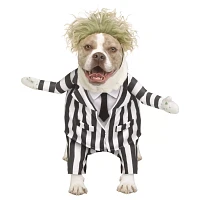 Beetlejuice Pet Costume