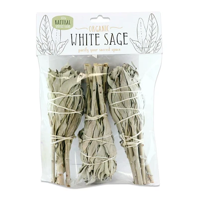 Mini Sage - 3 Pack