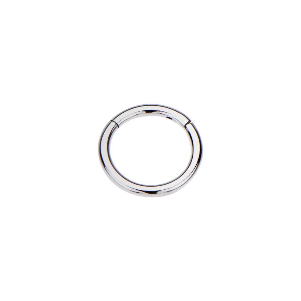 Silvertone Hinged Hoop Earring