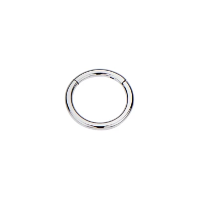 Silvertone Hinged Hoop Earring
