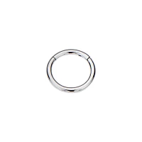 Silvertone Hinged Hoop Earring
