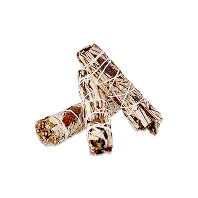 Mini Black Sage - 3 Pack