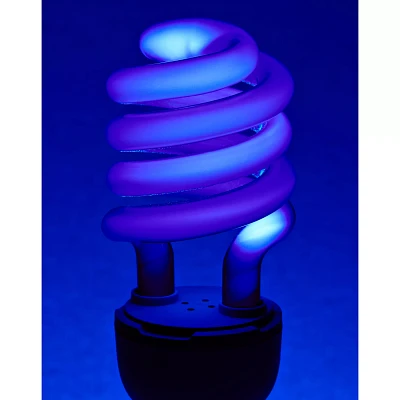 Black Light 22 Watt CFL Bulb