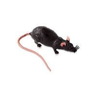 Fake Sewer Rat