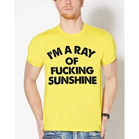 Ray Of Fucking Sunshine T Shirt