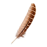 Sage Smudge Kit