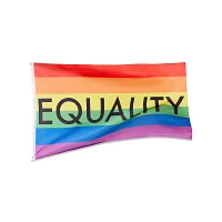 Rainbow Equality Flag Banner