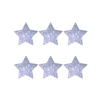 Glitter Star Pasties - 6 Pack