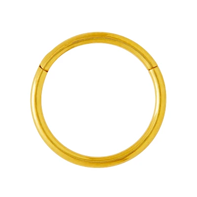 Goldtone Hinged Hoop Nose Ring