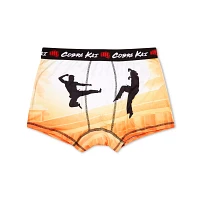 Cobra Kai Boxer Briefs