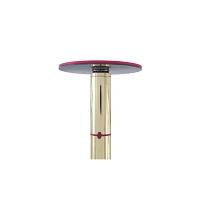 Spinning LED Light-Up Goldtone Stripper Pole