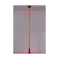 Spinning LED Light-Up Goldtone Stripper Pole