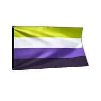 Nonbinary Pride Flag