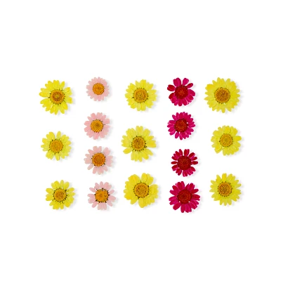 Yellow and Pink Flower Nipple Pasties