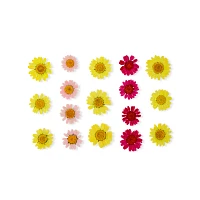 Yellow and Pink Flower Nipple Pasties