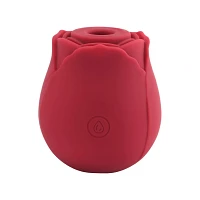 In Bloom 10-Function Rechargeable Clitoral Suction Vibrator 2.9 Inch - Hott Love