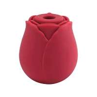 In Bloom 10-Function Rechargeable Clitoral Suction Vibrator 2.9 Inch - Hott Love