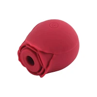 In Bloom 10-Function Rechargeable Clitoral Suction Vibrator 2.9 Inch - Hott Love