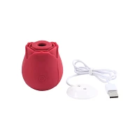 In Bloom 10-Function Rechargeable Clitoral Suction Vibrator 2.9 Inch - Hott Love