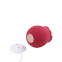 In Bloom 10-Function Rechargeable Clitoral Suction Vibrator 2.9 Inch - Hott Love