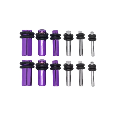 Multi-Pack Purple and Silver Plugs 12 Pack