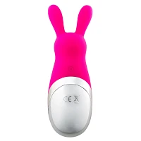 Very Bunny 10-Function Rechargeable Vibrator 4 Inch - Hott Love