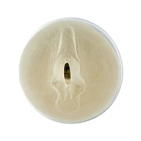 Slick N' Slide 2.0 Waterproof Vibrating Stroker - Arouz'd