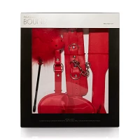 Introductory Bondage Kit