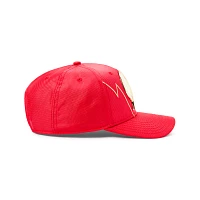 The Flash Logo Snapback Hat