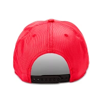 The Flash Logo Snapback Hat