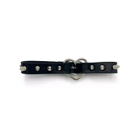 Spike Heart Collar with Leash