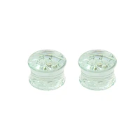 Glass Honeycomb Plugs